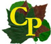 CousinsPlus logo